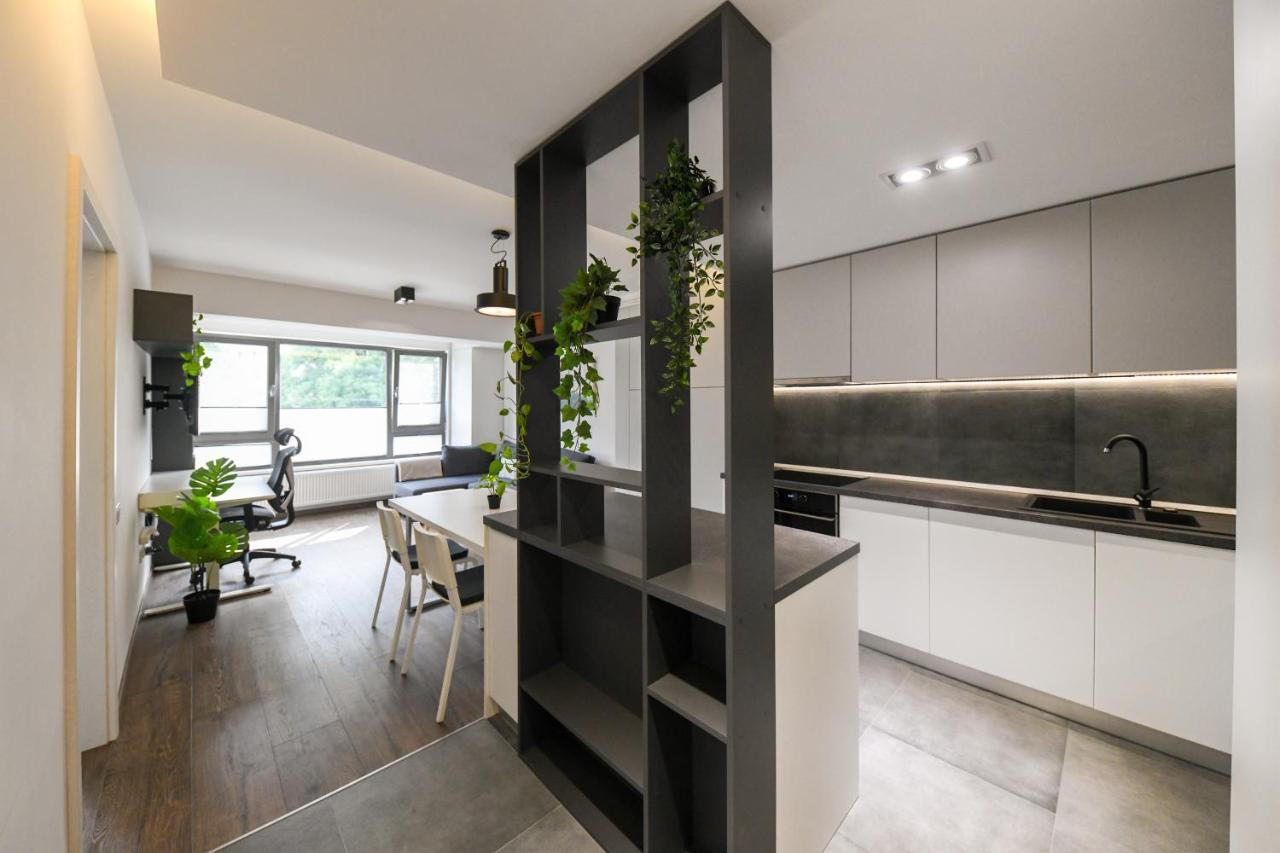 Modern Apartment In A Quiet Area Κλουζ-Ναπόκα Εξωτερικό φωτογραφία