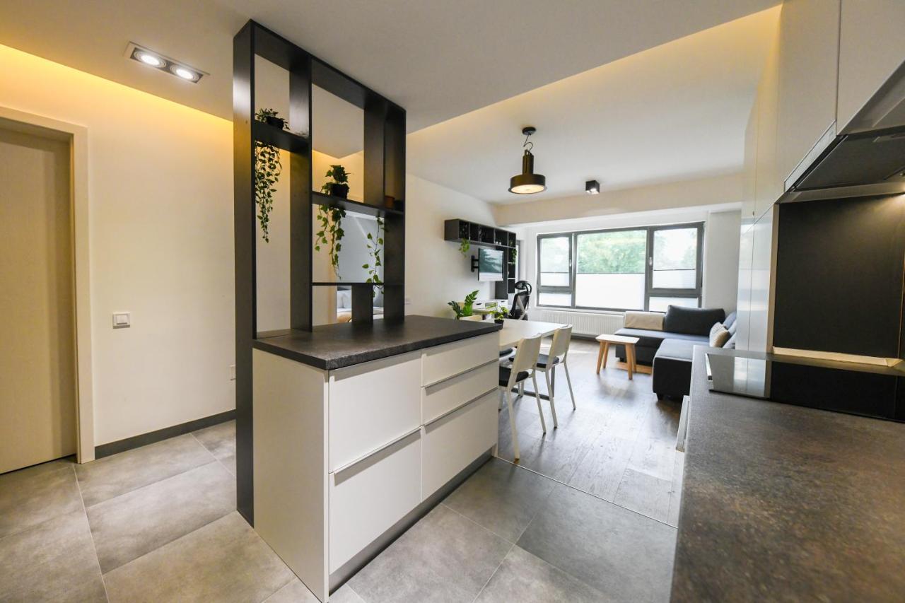 Modern Apartment In A Quiet Area Κλουζ-Ναπόκα Εξωτερικό φωτογραφία
